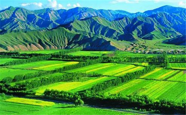 土壤墑情自動(dòng)監(jiān)測設(shè)備